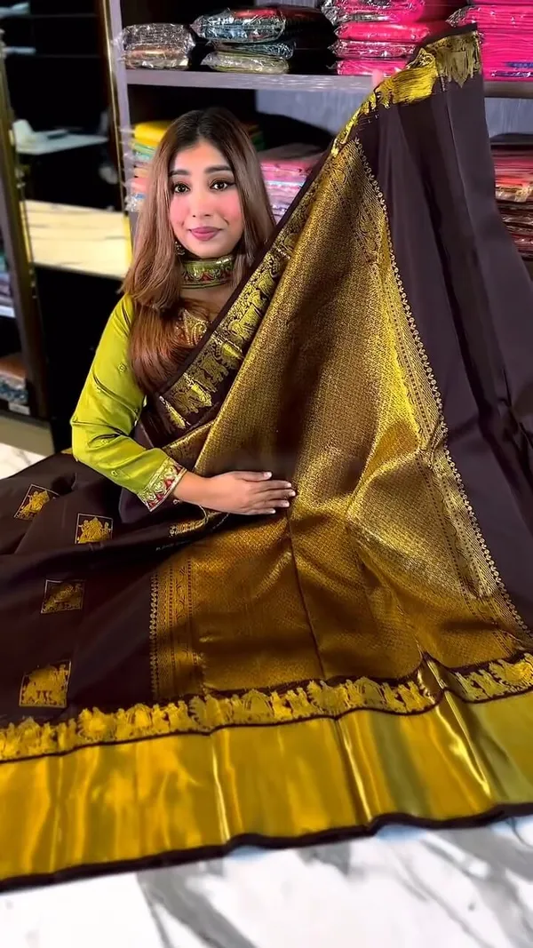 Brown_Banarasi_Soft_Silk_Woven_Traditional_Saree_For_Women