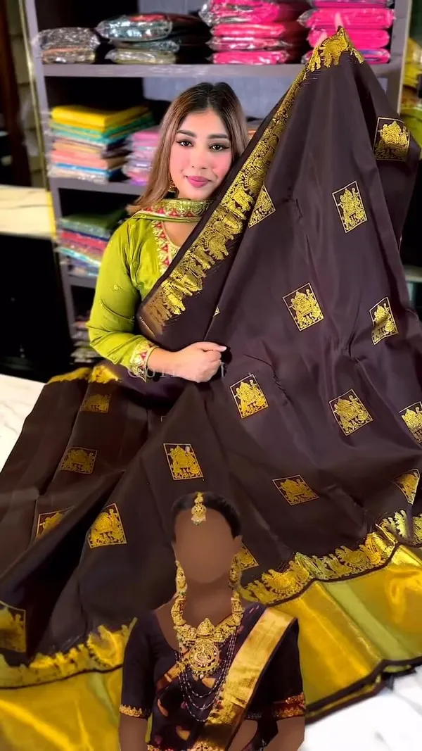 Brown_Banarasi_Soft_Silk_Woven_Traditional_Saree_For_Women