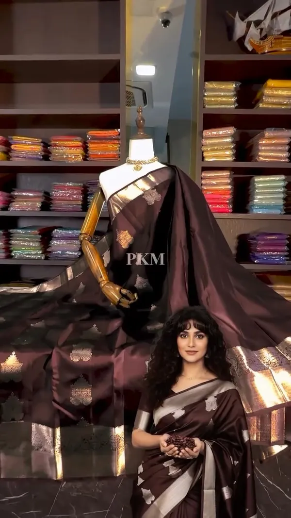 Brown_Banarasi_Soft_Silk_Woven_Saree_For_Women