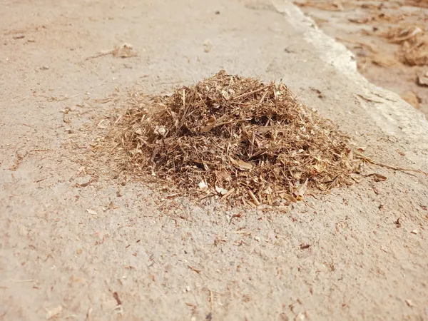 Banana_Fiber_Dust-_1_Kilogram