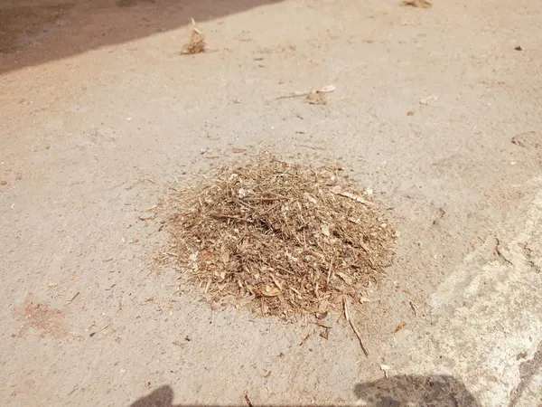 Banana_Fiber_Waste_&_Dust,_1_Kilogram