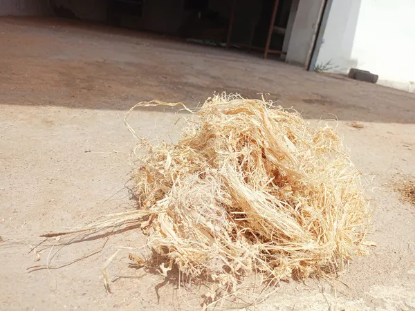 Banana_Fiber_Waste_&_Dust,_1_Kilogram