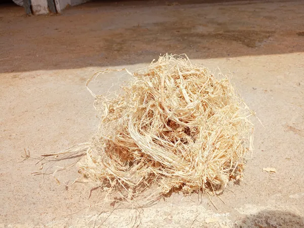 Banana_Fiber_Waste_&_Dust,_1_Kilogram