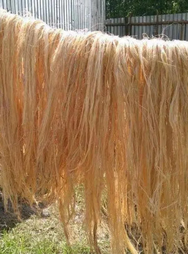 RAW_Banana_Fiber