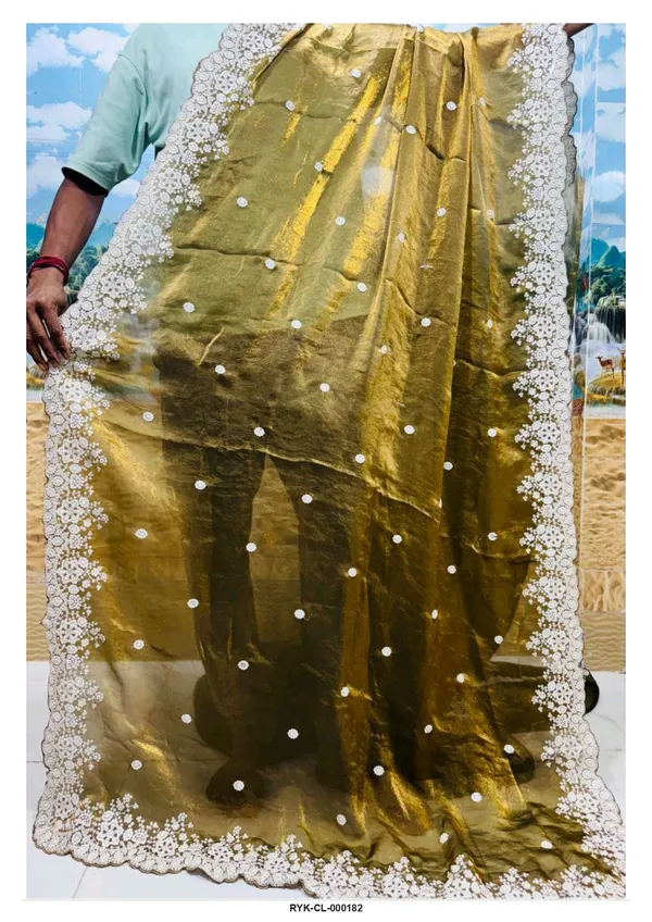Gold_Sheer_Lace_Border_Saree_for_Women