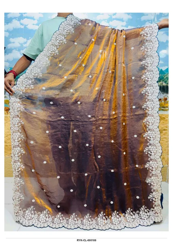 Brown_Organza_Lace_Border_Saree_for_Women