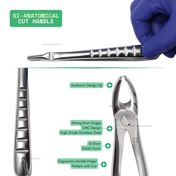 Extraction_Tooth_Forceps_Kit_-_Premium_SI-Stain_Polish_Finish_Surface_SI-Ergonomical_Holes_Handle_OR_SI-Anatomical_Cuts_Handle