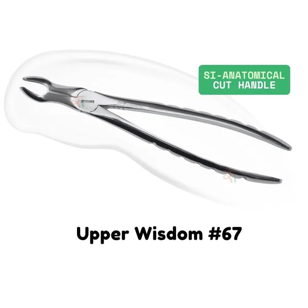 Extraction_Tooth_Forceps_Kit_-_Premium_SI-Stain_Polish_Finish_Surface_SI-Ergonomical_Holes_Handle_OR_SI-Anatomical_Cuts_Handle