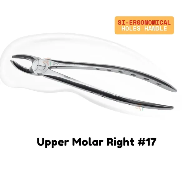 Extraction_Tooth_Forceps_Kit_-_Premium_SI-Stain_Polish_Finish_Surface_SI-Ergonomical_Holes_Handle_OR_SI-Anatomical_Cuts_Handle