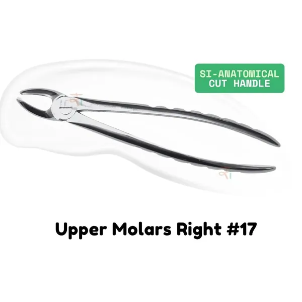 Extraction_Tooth_Forceps_Kit_-_Premium_SI-Stain_Polish_Finish_Surface_SI-Ergonomical_Holes_Handle_OR_SI-Anatomical_Cuts_Handle