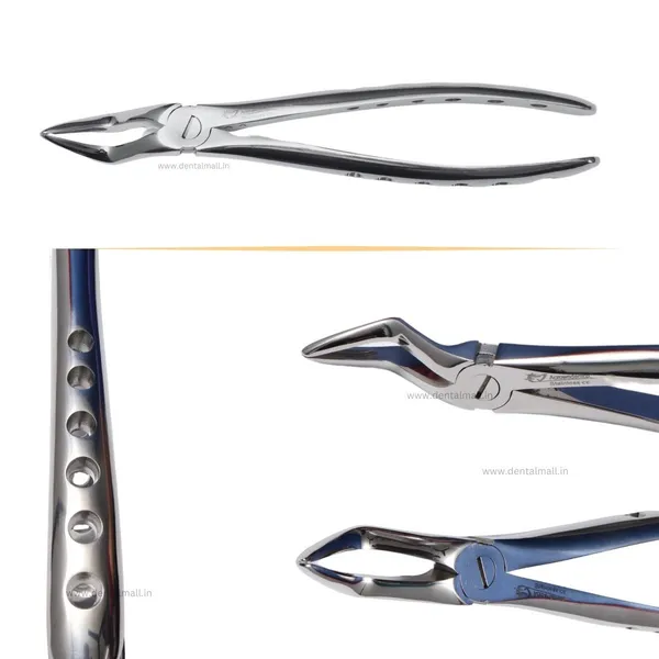 Extraction_Tooth_Forceps_Kit_-_Premium_SI-Stain_Polish_Finish_Surface_SI-Ergonomical_Holes_Handle_OR_SI-Anatomical_Cuts_Handle