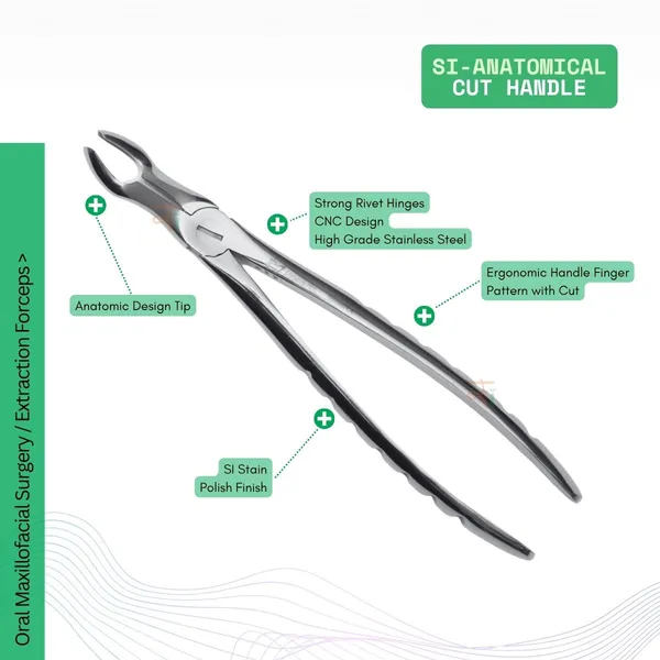 Extraction_Tooth_Forceps_Kit_-_Premium_SI-Stain_Polish_Finish_Surface_SI-Ergonomical_Holes_Handle_OR_SI-Anatomical_Cuts_Handle