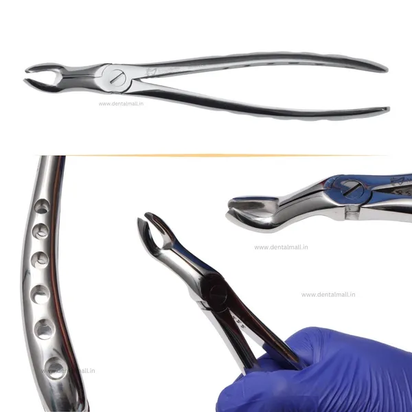 Extraction_Tooth_Forceps_Kit_-_Premium_SI-Stain_Polish_Finish_Surface_SI-Ergonomical_Holes_Handle_OR_SI-Anatomical_Cuts_Handle
