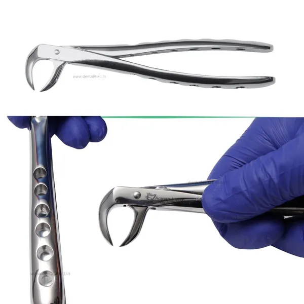 Extraction_Tooth_Forceps_Kit_-_Premium_SI-Stain_Polish_Finish_Surface_SI-Ergonomical_Holes_Handle_OR_SI-Anatomical_Cuts_Handle
