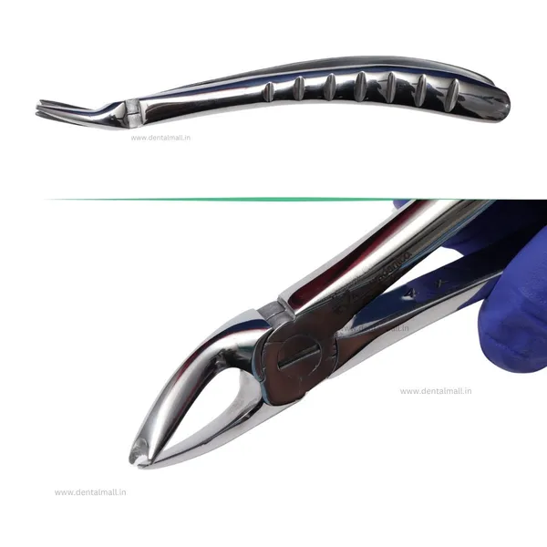 Extraction_Tooth_Forceps_Kit_-_Premium_SI-Stain_Polish_Finish_Surface_SI-Ergonomical_Holes_Handle_OR_SI-Anatomical_Cuts_Handle