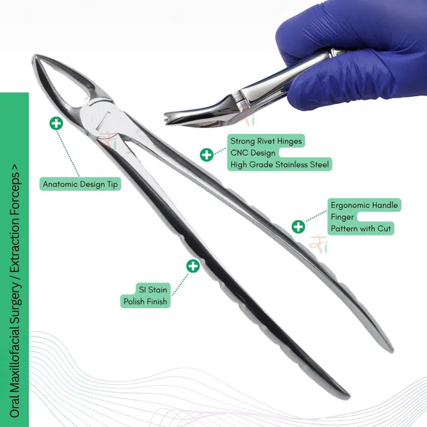 Extraction_Tooth_Forceps_Kit_-_Premium_SI-Stain_Polish_Finish_Surface_SI-Ergonomical_Holes_Handle_OR_SI-Anatomical_Cuts_Handle