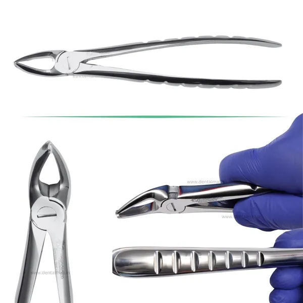 Extraction_Tooth_Forceps_Kit_-_Premium_SI-Stain_Polish_Finish_Surface_SI-Ergonomical_Holes_Handle_OR_SI-Anatomical_Cuts_Handle