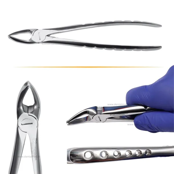 Extraction_Tooth_Forceps_Kit_-_Premium_SI-Stain_Polish_Finish_Surface_SI-Ergonomical_Holes_Handle_OR_SI-Anatomical_Cuts_Handle
