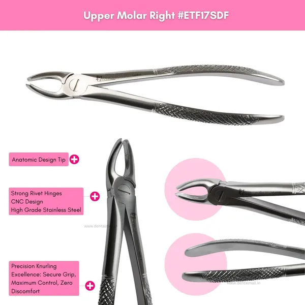 Extraction_Tooth_Forceps_Kit_-_Standard-English_Pattern_SI-Stain_Polish_Finish_Surface