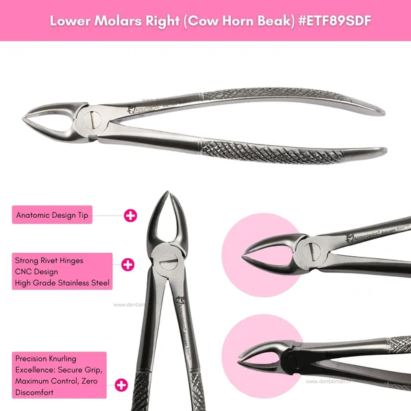 Extraction_Tooth_Forceps_Kit_-_Standard-English_Pattern_SI-Stain_Polish_Finish_Surface