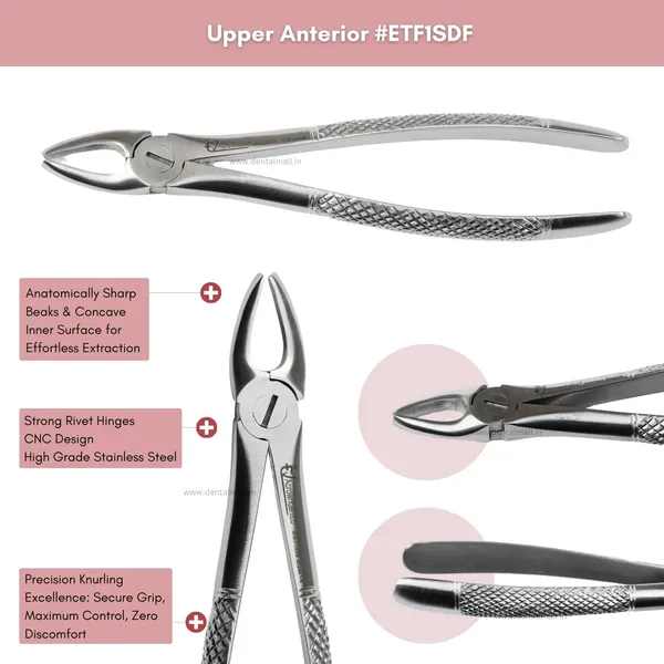 Extraction_Tooth_Forceps_Kit_-_Standard-English_Pattern_Dull_Finish_Surface