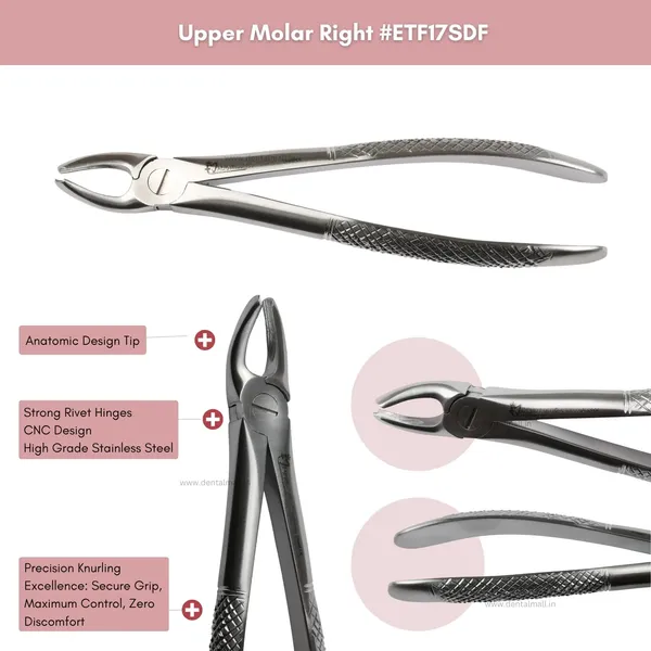 Extraction_Tooth_Forceps_Kit_-_Standard-English_Pattern_Dull_Finish_Surface