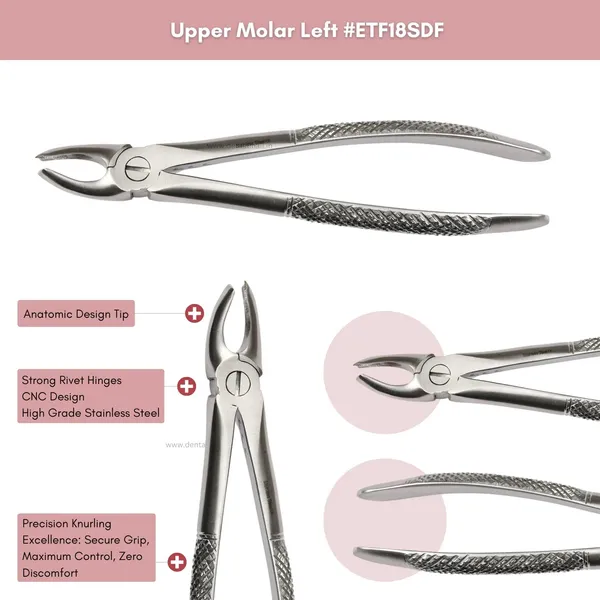 Extraction_Tooth_Forceps_Kit_-_Standard-English_Pattern_Dull_Finish_Surface