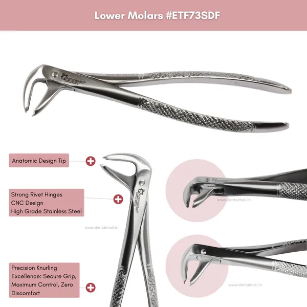 Extraction_Tooth_Forceps_Kit_-_Standard-English_Pattern_Dull_Finish_Surface