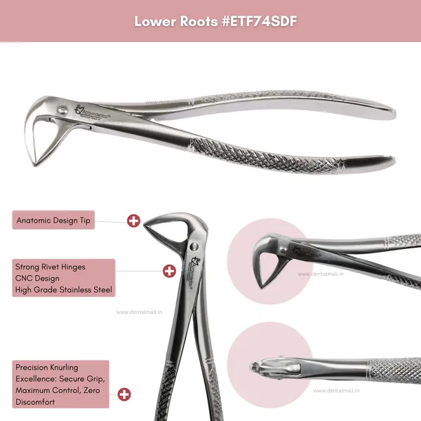 Extraction_Tooth_Forceps_Kit_-_Standard-English_Pattern_Dull_Finish_Surface