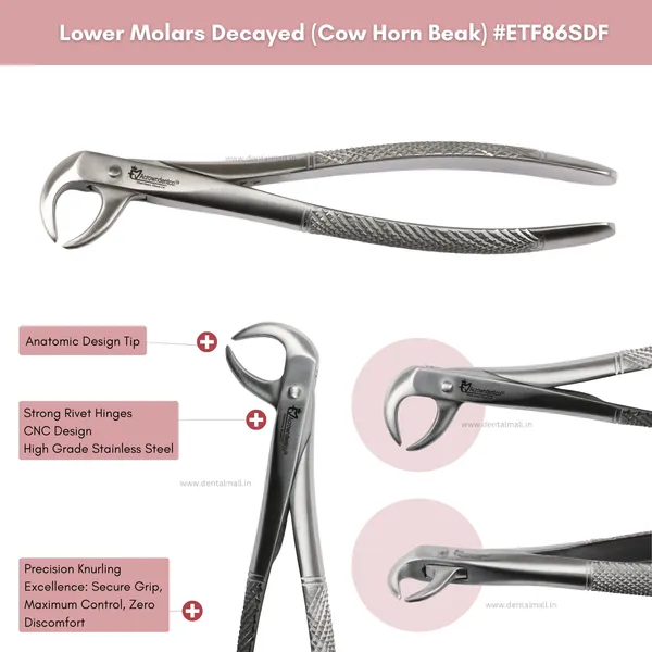 Extraction_Tooth_Forceps_Kit_-_Standard-English_Pattern_Dull_Finish_Surface