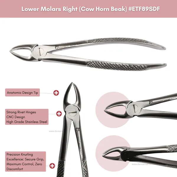 Extraction_Tooth_Forceps_Kit_-_Standard-English_Pattern_Dull_Finish_Surface