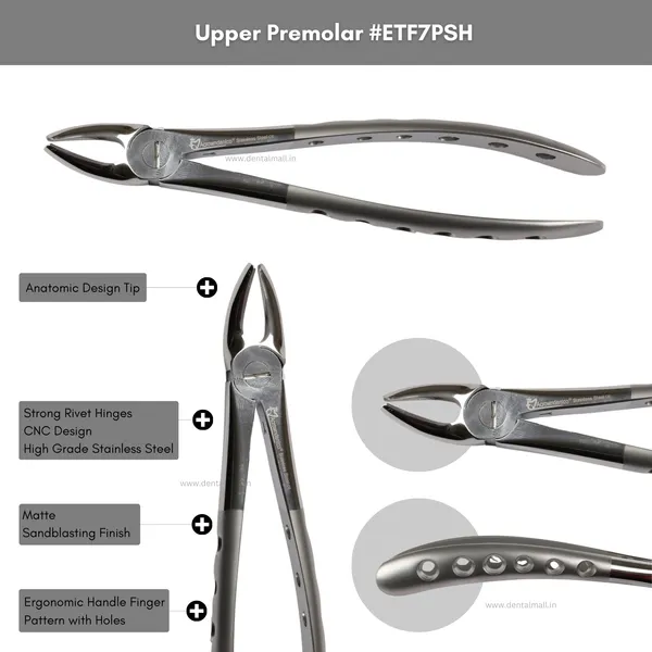 Extraction_Tooth_Forceps_Kit_–_Premium_Quality_Finger_Pattern_with_Holes_Handle_Matte_Sandblasting,_Set_of_12_Pcs_#ETFK12PSH