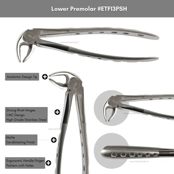Extraction_Tooth_Forceps_Kit_–_Premium_Quality_Finger_Pattern_with_Holes_Handle_Matte_Sandblasting,_Set_of_12_Pcs_#ETFK12PSH