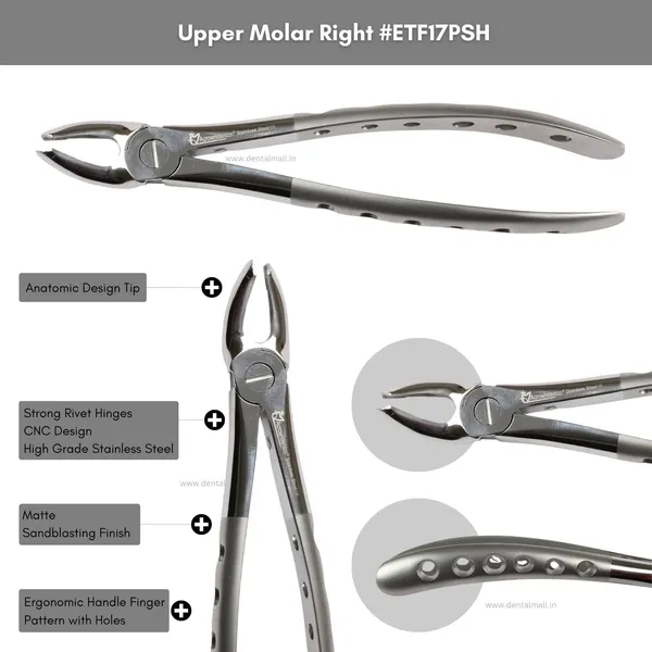 Extraction_Tooth_Forceps_Kit_–_Premium_Quality_Finger_Pattern_with_Holes_Handle_Matte_Sandblasting,_Set_of_12_Pcs_#ETFK12PSH