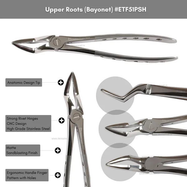 Extraction_Tooth_Forceps_Kit_–_Premium_Quality_Finger_Pattern_with_Holes_Handle_Matte_Sandblasting,_Set_of_12_Pcs_#ETFK12PSH