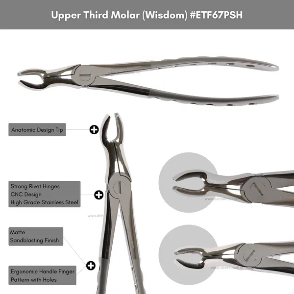 Extraction_Tooth_Forceps_Kit_–_Premium_Quality_Finger_Pattern_with_Holes_Handle_Matte_Sandblasting,_Set_of_12_Pcs_#ETFK12PSH