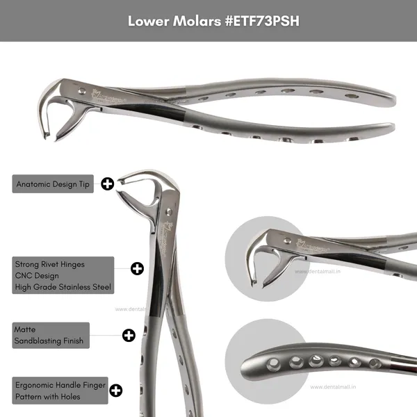 Extraction_Tooth_Forceps_Kit_–_Premium_Quality_Finger_Pattern_with_Holes_Handle_Matte_Sandblasting,_Set_of_12_Pcs_#ETFK12PSH