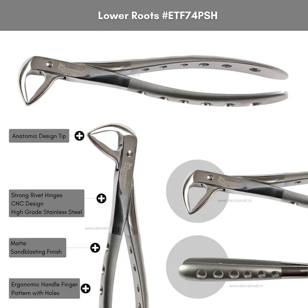 Extraction_Tooth_Forceps_Kit_–_Premium_Quality_Finger_Pattern_with_Holes_Handle_Matte_Sandblasting,_Set_of_12_Pcs_#ETFK12PSH