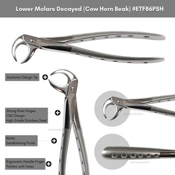 Extraction_Tooth_Forceps_Kit_–_Premium_Quality_Finger_Pattern_with_Holes_Handle_Matte_Sandblasting,_Set_of_12_Pcs_#ETFK12PSH
