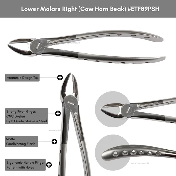 Extraction_Tooth_Forceps_Kit_–_Premium_Quality_Finger_Pattern_with_Holes_Handle_Matte_Sandblasting,_Set_of_12_Pcs_#ETFK12PSH