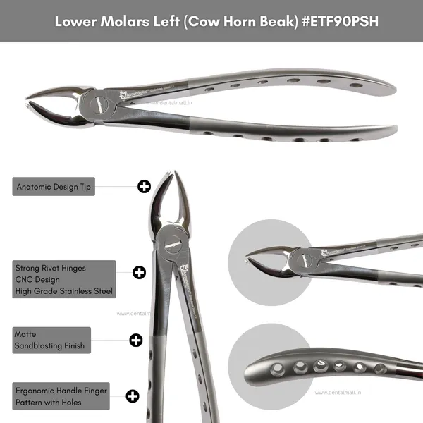 Extraction_Tooth_Forceps_Kit_–_Premium_Quality_Finger_Pattern_with_Holes_Handle_Matte_Sandblasting,_Set_of_12_Pcs_#ETFK12PSH