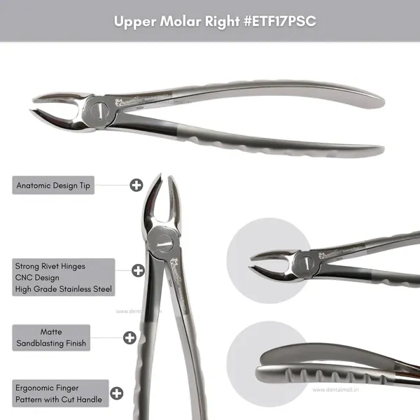 Extraction_Tooth_Forceps_Kit_-_Premium_Sand-Blasting_DLC_Finish_Surface_SI-Ergonomical_Holes_Handle_OR_SI-Anatomical_Cuts_Handle