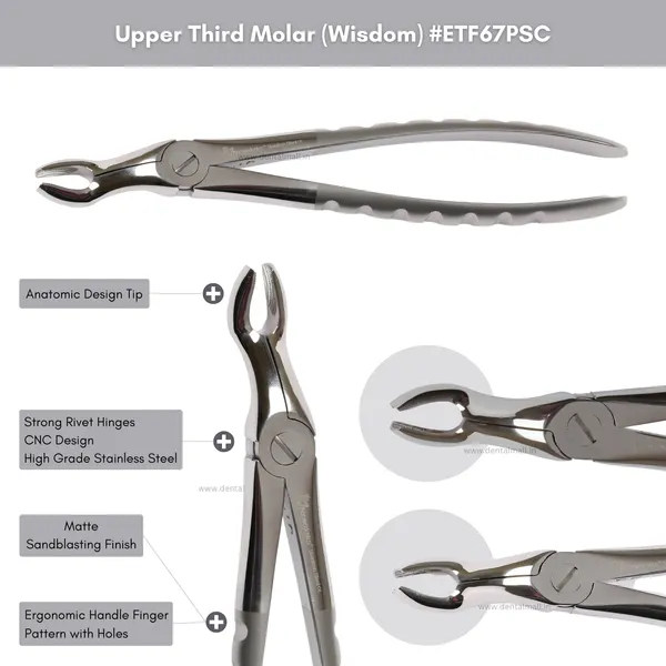 Extraction_Tooth_Forceps_Kit_-_Premium_Sand-Blasting_DLC_Finish_Surface_SI-Ergonomical_Holes_Handle_OR_SI-Anatomical_Cuts_Handle