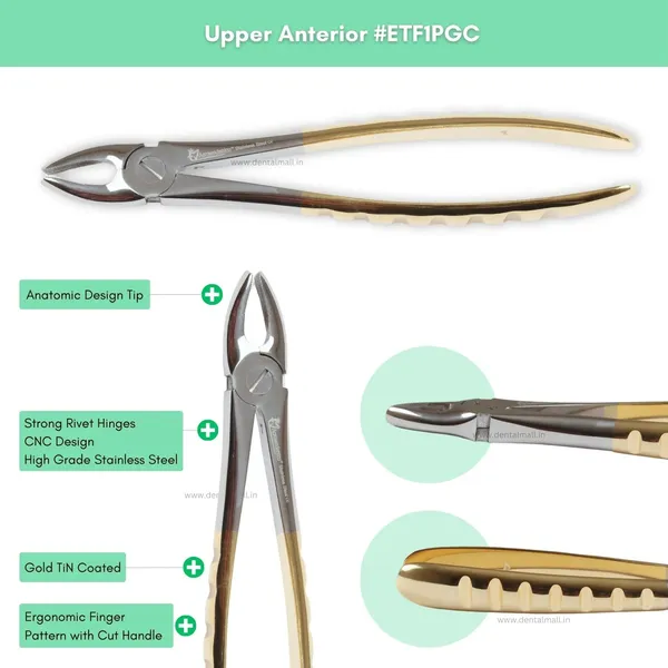 Extraction_Tooth_Forceps_Kit_–_Premium_Quality_Finger_Pattern_with_Cut_Handle,_Gold_TiN_Coated_(Set_of_12_Pcs)_#ETFK12PGC
