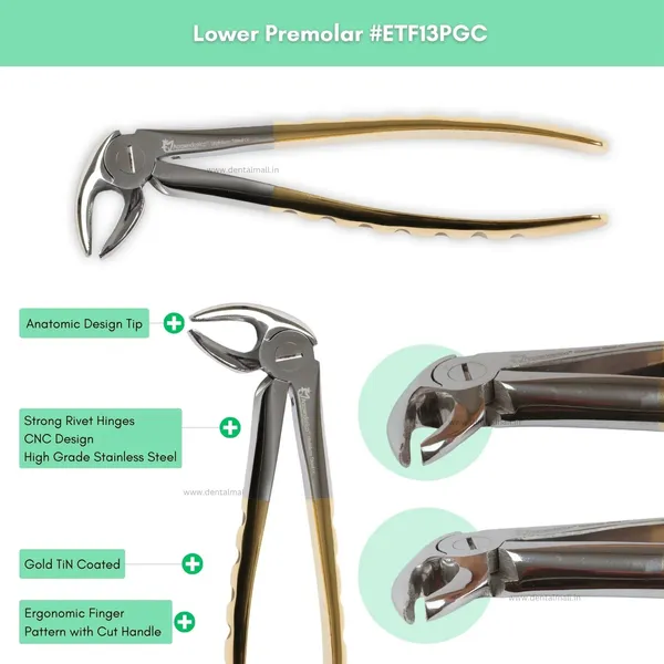 Extraction_Tooth_Forceps_Kit_–_Premium_Quality_Finger_Pattern_with_Cut_Handle,_Gold_TiN_Coated_(Set_of_12_Pcs)_#ETFK12PGC