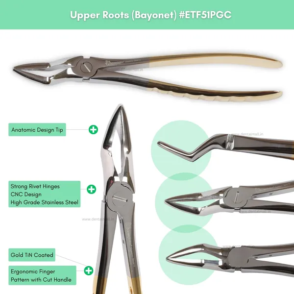 Extraction_Tooth_Forceps_Kit_–_Premium_Quality_Finger_Pattern_with_Cut_Handle,_Gold_TiN_Coated_(Set_of_12_Pcs)_#ETFK12PGC