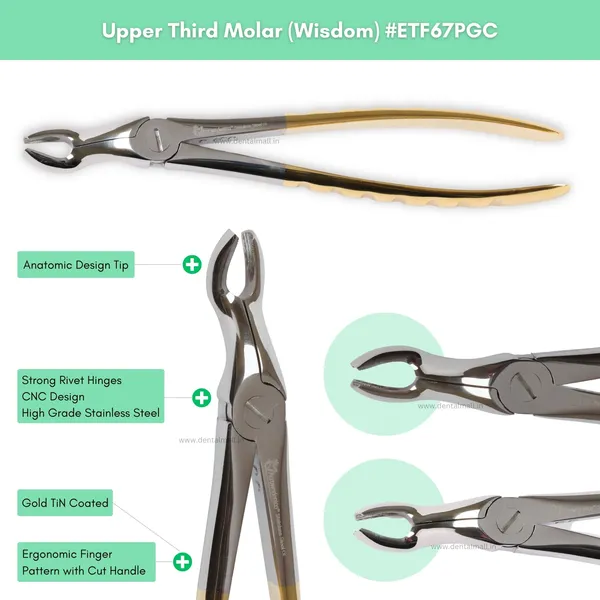 Extraction_Tooth_Forceps_Kit_–_Premium_Quality_Finger_Pattern_with_Cut_Handle,_Gold_TiN_Coated_(Set_of_12_Pcs)_#ETFK12PGC