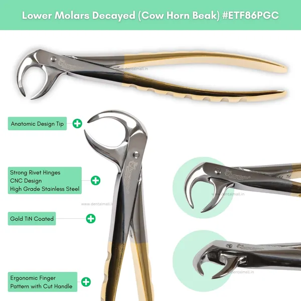 Extraction_Tooth_Forceps_Kit_–_Premium_Quality_Finger_Pattern_with_Cut_Handle,_Gold_TiN_Coated_(Set_of_12_Pcs)_#ETFK12PGC