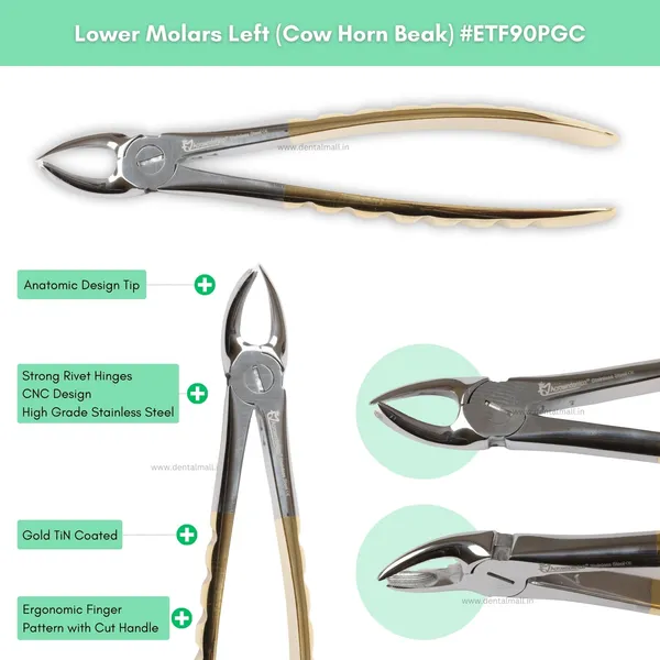 Extraction_Tooth_Forceps_Kit_–_Premium_Quality_Finger_Pattern_with_Cut_Handle,_Gold_TiN_Coated_(Set_of_12_Pcs)_#ETFK12PGC