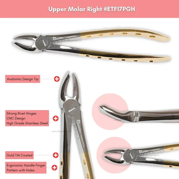 Extraction_Tooth_Forceps_Kit_-_Premium_Gold_DLC_Finish_Surface_SI-Ergonomical_Holes_Handle_OR_SI-Anatomical_Cuts_Handle